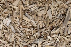 biomass boilers Threepwood